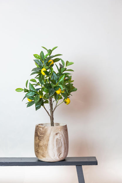 ARTIFICIAL Citrus Limonia - 75 cm