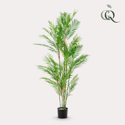 ARTIFICIAL Chamaedorea Elegans - 180 cm