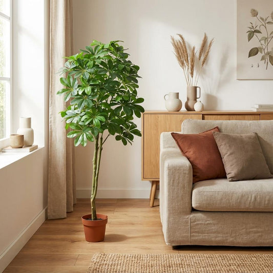 ARTIFICIAL Pachira Aquatica - 150cm