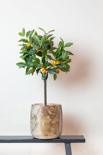 ARTIFICIAL Citrus Sinensis - 75 cm
