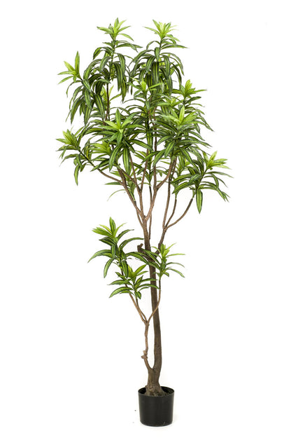ARTIFICIAL Dracaena - 190 cm