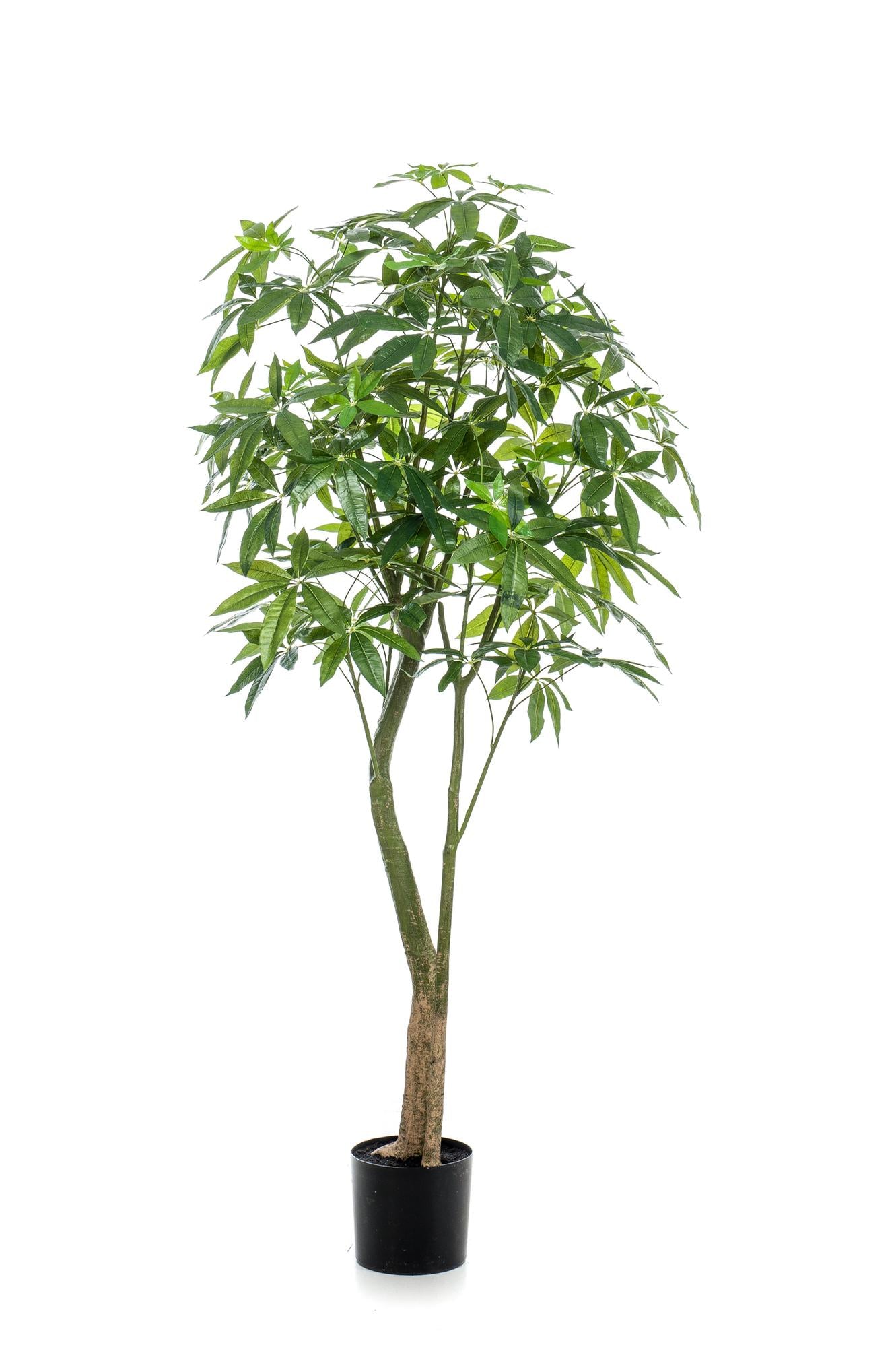 ARTIFICIAL Pachira Aquatica 180 cm