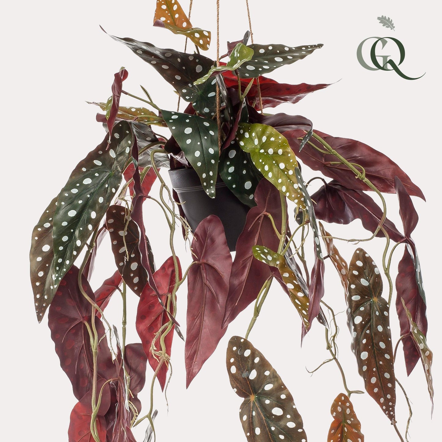 ARTIFICIAL Begonia Maculata - 80 cm