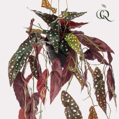 ARTIFICIAL Begonia Maculata - 80 cm