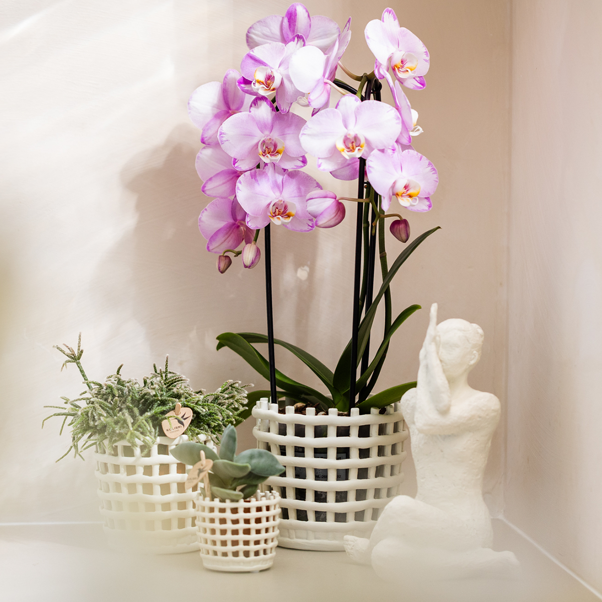 Giftset: Mesh White