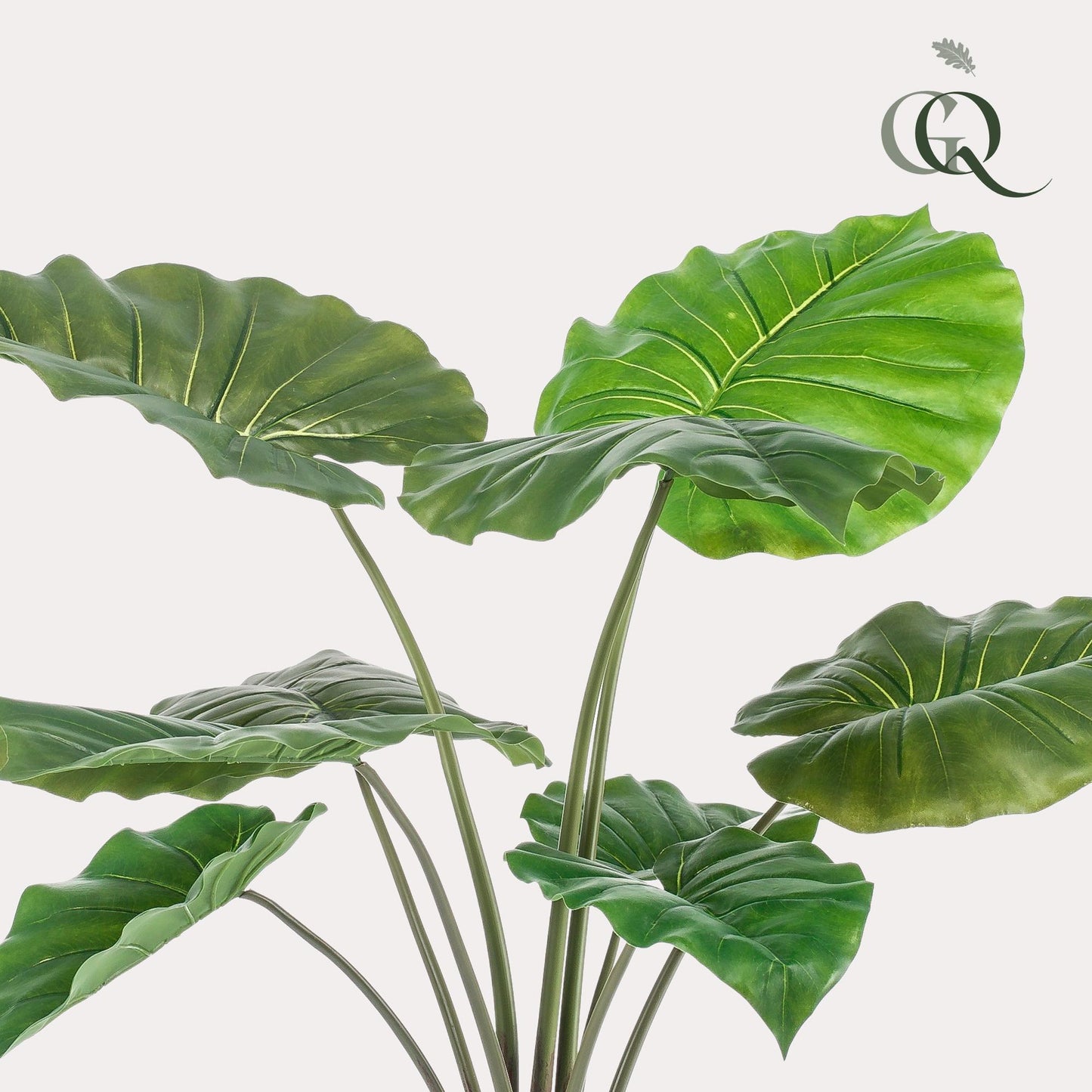 ARTIFICIAL Alocasia 70 cm