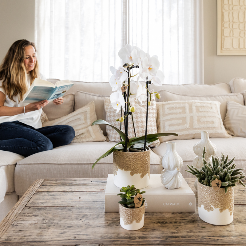 Giftset: Bloom Sand