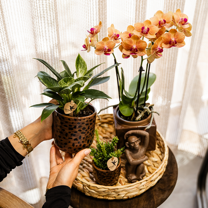 Kolibri Home | Leopard decorative pot - Ø9cm