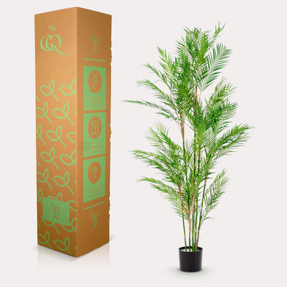 ARTIFICIAL Chamaedorea Elegans - 180 cm