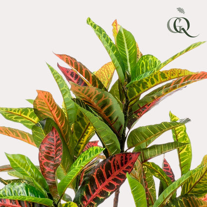 ARTIFICIAL Croton Codiaeum - 95 cm