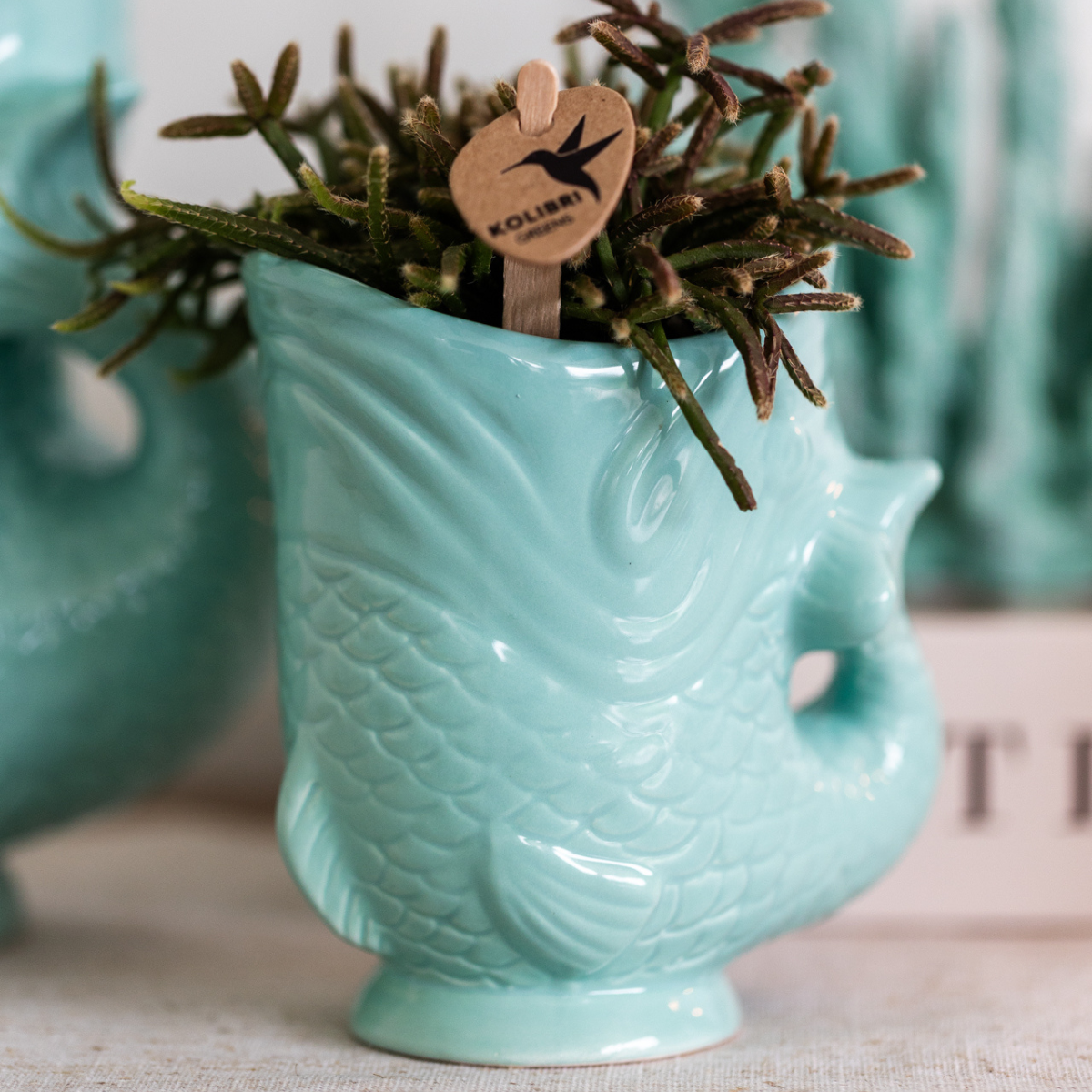 Fish - Turquoise (Ø6cm)