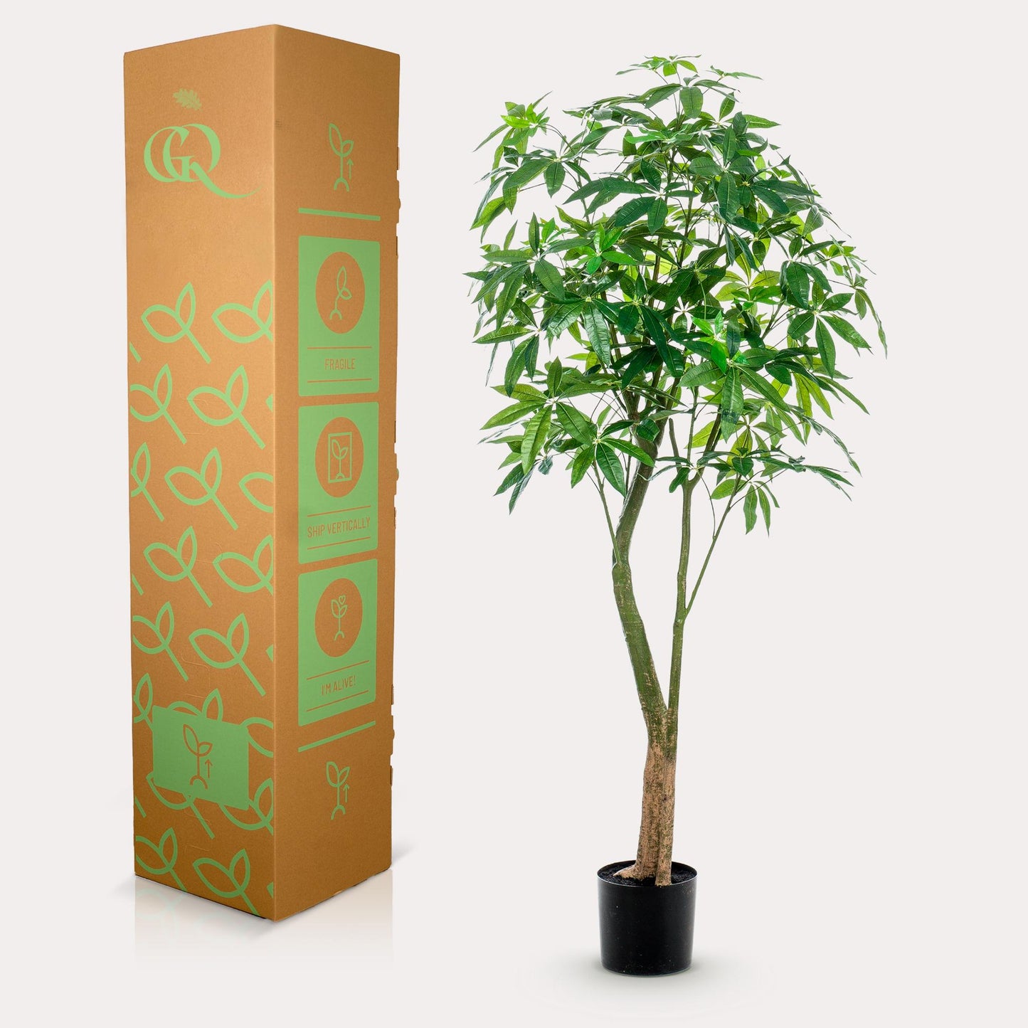 ARTIFICIAL Pachira Aquatica 180 cm