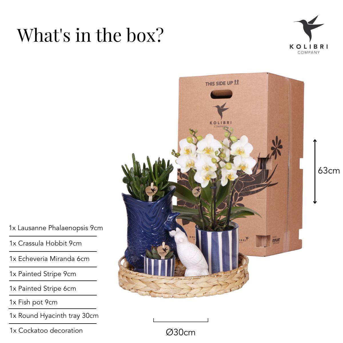 Gift set: Mediterranean Sunset