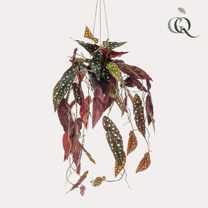 ARTIFICIAL Begonia Maculata - 80 cm