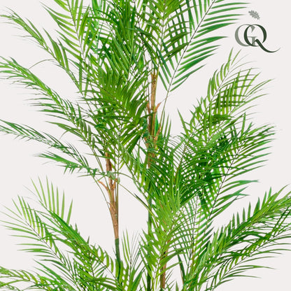 ARTIFICIAL Chamaedorea Elegans - 180 cm