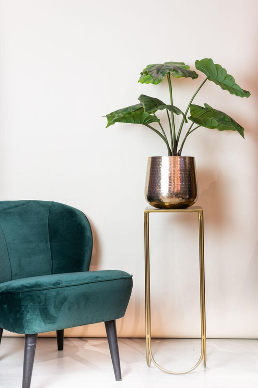 ARTIFICIAL Alocasia 70 cm