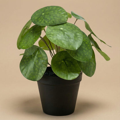 ARTIFICIAL Pilea bush 25 cm in zwarte pot