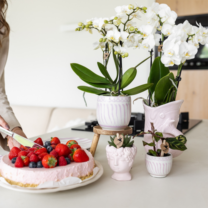 Giftset: Granada roze