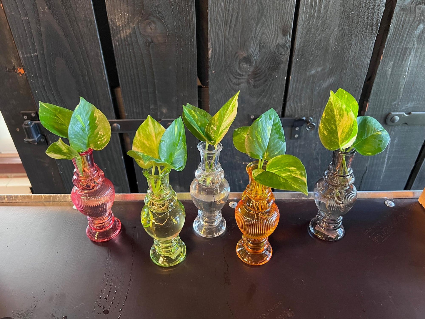 Venice Glass