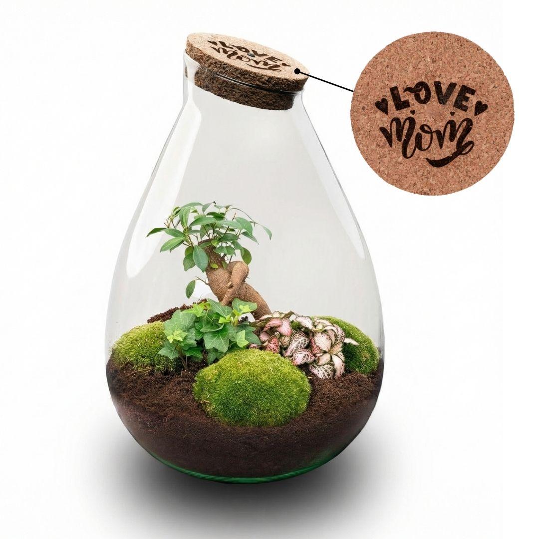 DIY: LOVE MOM 3.0 terrarium XL