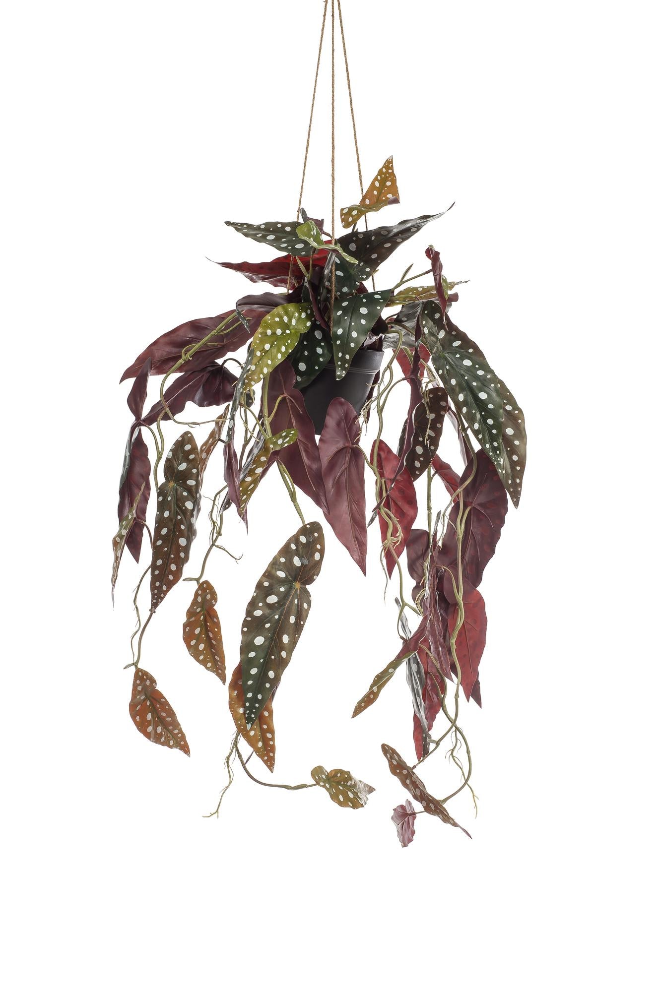 ARTIFICIAL Begonia Maculata - 80 cm