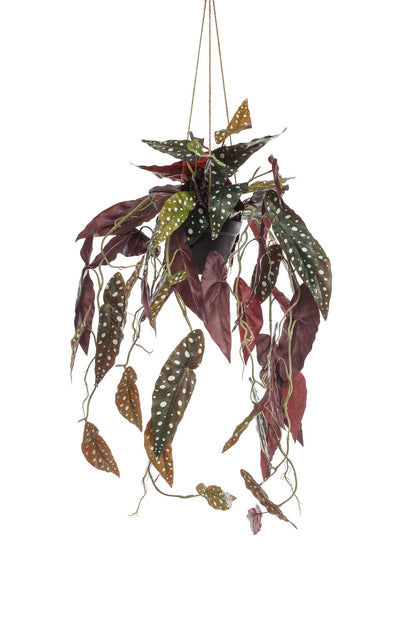 ARTIFICIAL Begonia Maculata - 80 cm