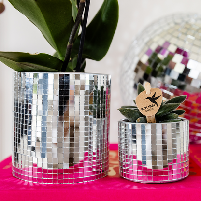 Giftset: Purple Vienna