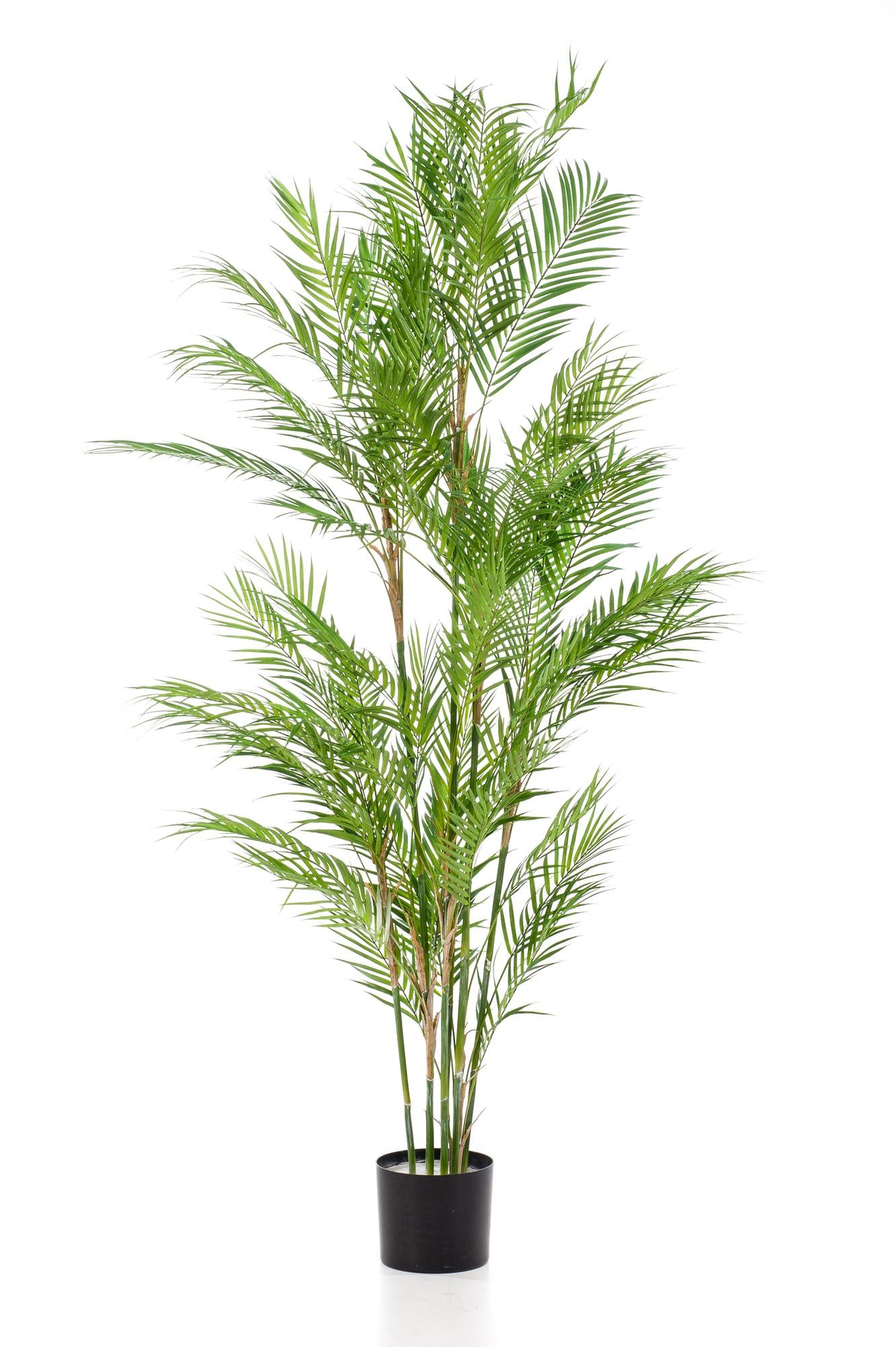 ARTIFICIAL Chamaedorea Elegans - 180 cm