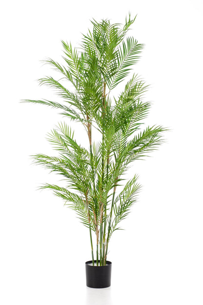 ARTIFICIAL Chamaedorea Elegans - 180 cm
