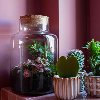 'LOVE MOM' terrarium Little Milky + engraved cork with light - Bottle terrarium DIY kit - Ø 17 cm ↑ 25 cm - Mother's Day