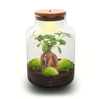 Milky Bonsai met licht