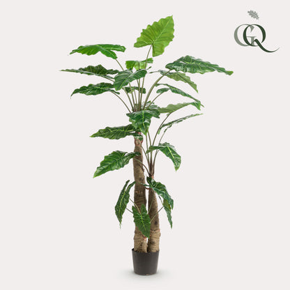 ARTIFICIAL Alocasia 180 cm