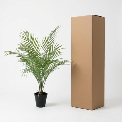 Kentia palm