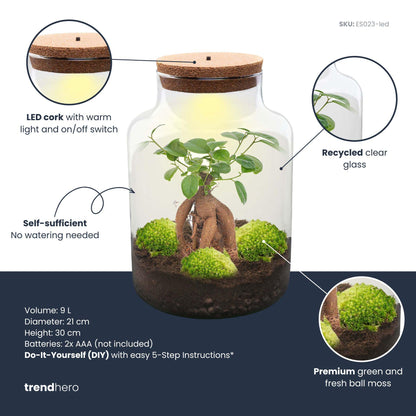 Milky Bonsai met licht