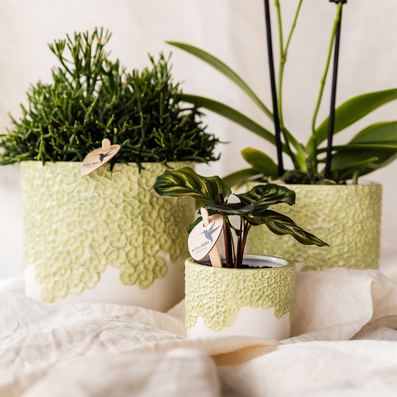 Combo: Kolibri Company | Bloom sierpot groen – set 6 cm + 9 cm + 12 cm