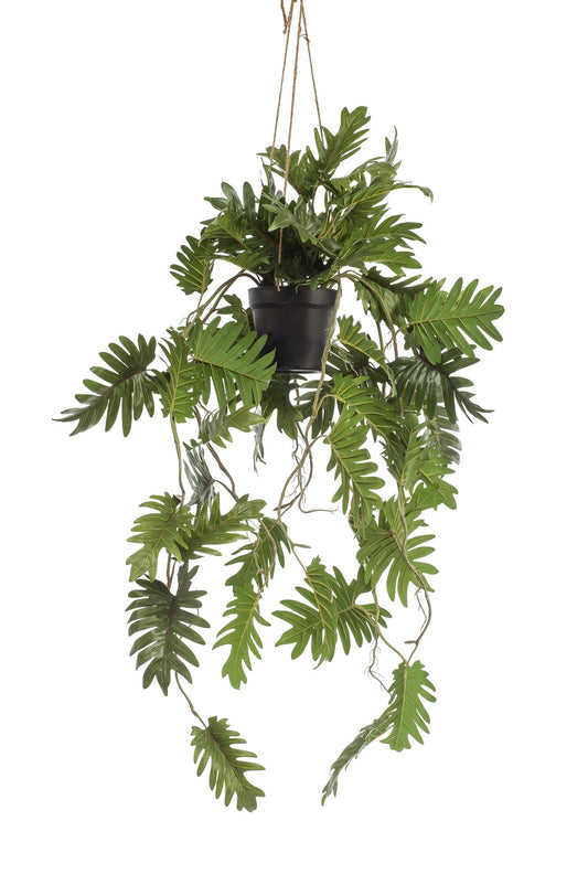 ARTIFICIAL Philodendron - 80 cm