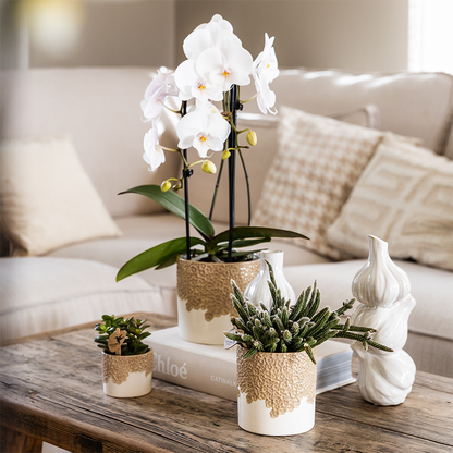 Combo: Kolibri Company | Bloom sierpot zand – set 6 cm + 9 cm + 12 cm