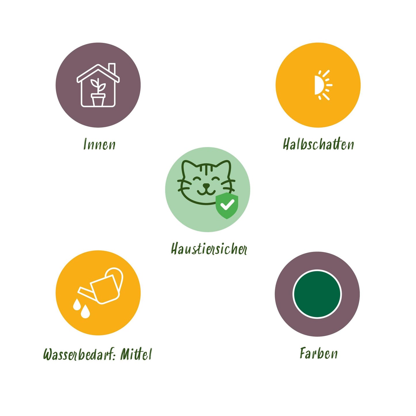 Mix: 3 Huisdiervriendelijke Planten in Deco Mandjes - Hoogte 25cm