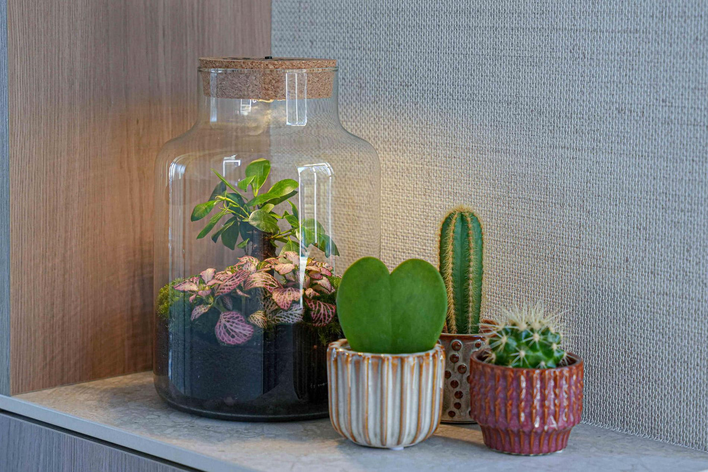 'LOVE MOM' terrarium Little Milky + engraved cork with light - Bottle terrarium DIY kit - Ø 17 cm ↑ 25 cm - Mother's Day