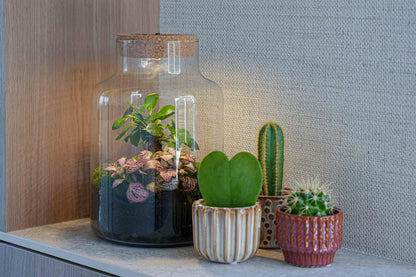 'LOVE MOM' terrarium Little Milky + engraved cork with light - Bottle terrarium DIY kit - Ø 17 cm ↑ 25 cm - Mother's Day