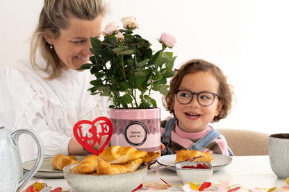 Combo: "special pour toi" Rosa Light Pink