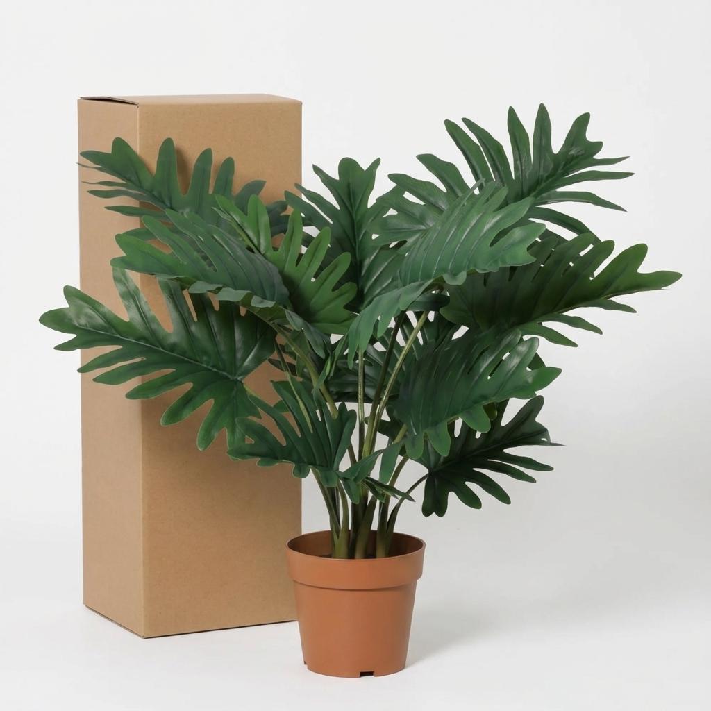 Philodendron Selloum